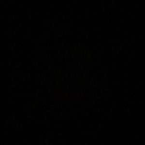 Meet your Posher, Demi-lee